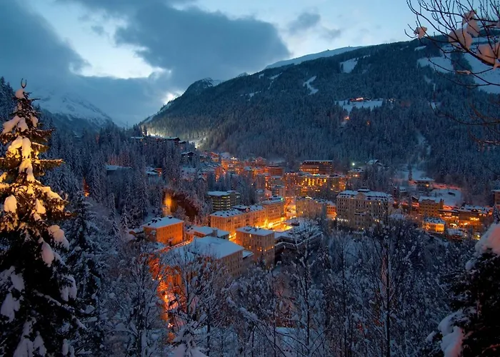 In Near Lifts 木屋 巴特霍夫加施泰因